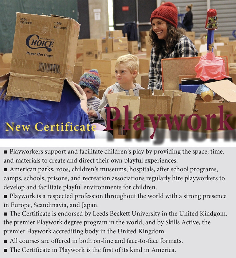 Playwork Certificate