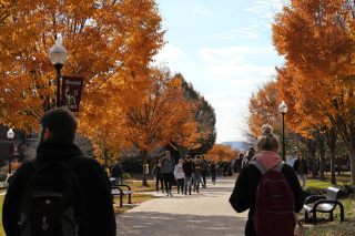 students walking in the academic quad during the fall