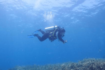 Biology student dives into coral restoration project  