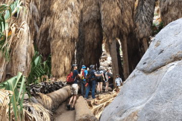 Special topics course heads to California for field study
