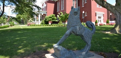 Husky statue in the lawn in front of Carver Hall on BU's campus