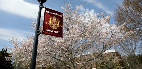 Bloomsburg University Banner on Lightpost during Spring