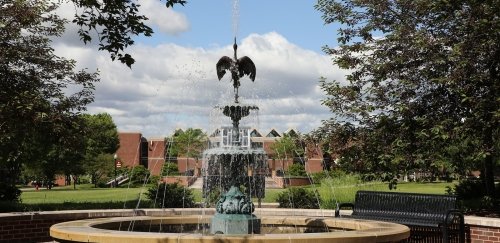 the fountain in the summer