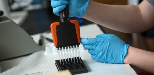Pre-med major works a testing sample in the chemistry lab