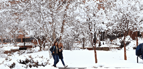 students walking in the quad during the winter