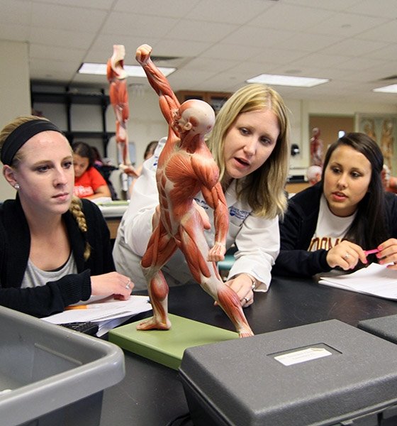 Biology professor leads a lesson on anatomy 